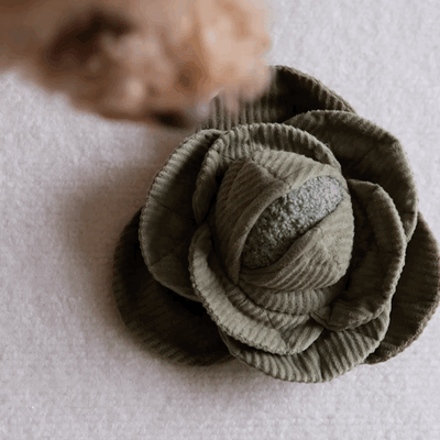 Lambwolf Collective Schnüffelspielzeug CABBAGE POP, green Interaktiv