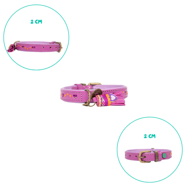 Dog with a Mission Hundehalsband, Spice Hundehalsband