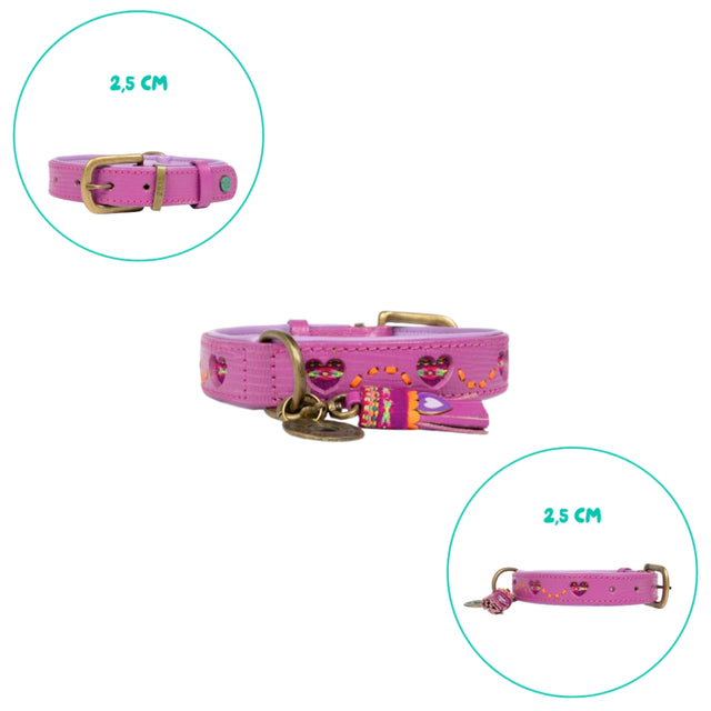 Dog with a Mission Hundehalsband, Spice Hundehalsband