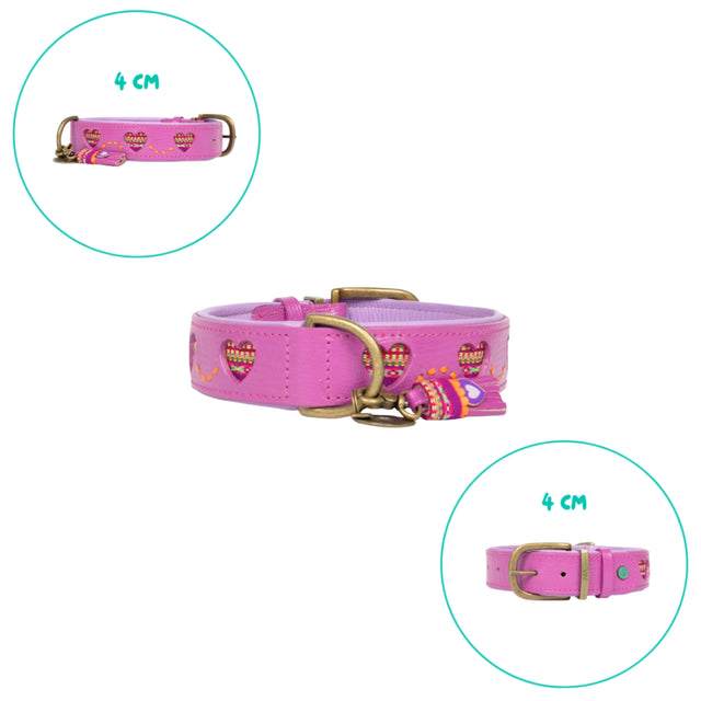 Dog with a Mission Hundehalsband, Spice Hundehalsband