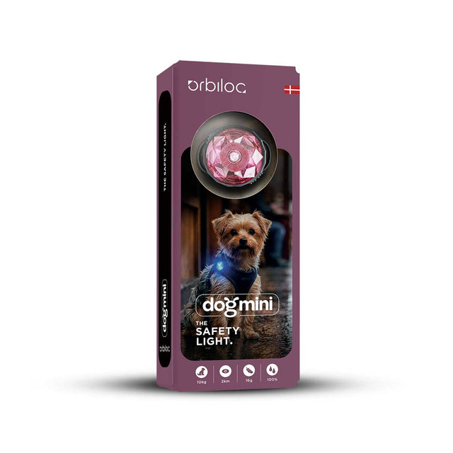 Dog MINI, Blossom