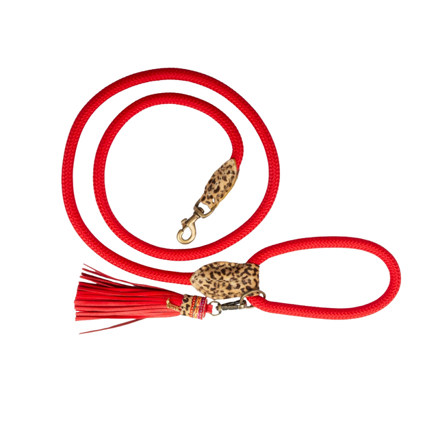 Dog with a Mission Hundeleine, Gypsy Hundeleine