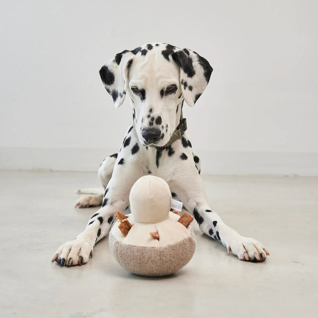 MiaCara Schnüffelspielzeug Foresta, Pilz Greige Interaktiv