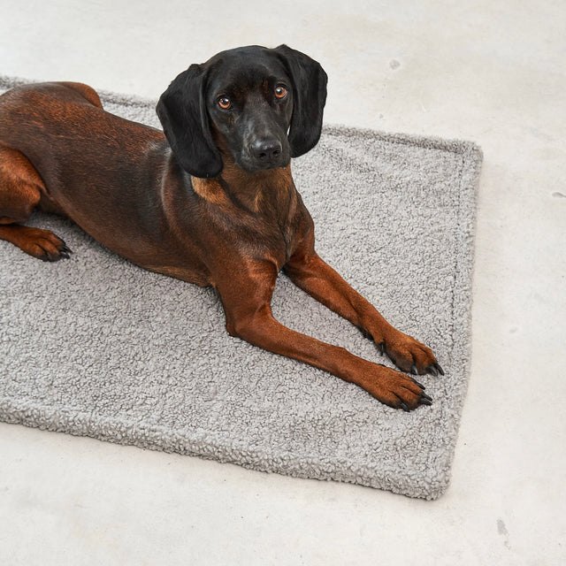 MiaCara Hundedecke Senso, Kiesel Hundedecke