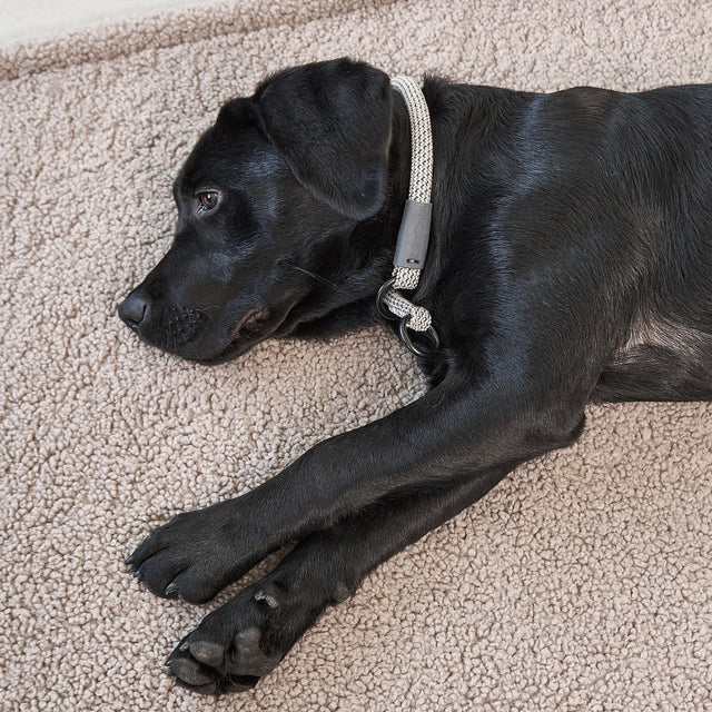 MiaCara Hundedecke Senso, Greige Hundedecke