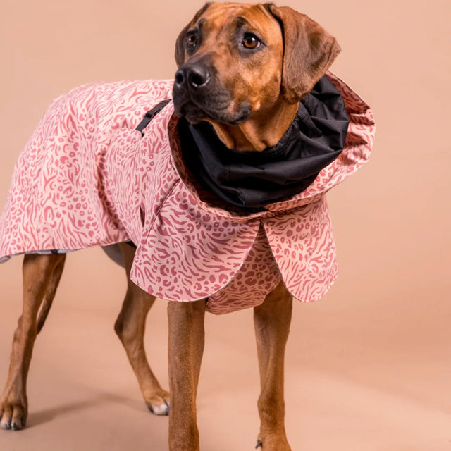 PAIKKA Hundewintermantel, Visibility Red Mix Hundewintermantel