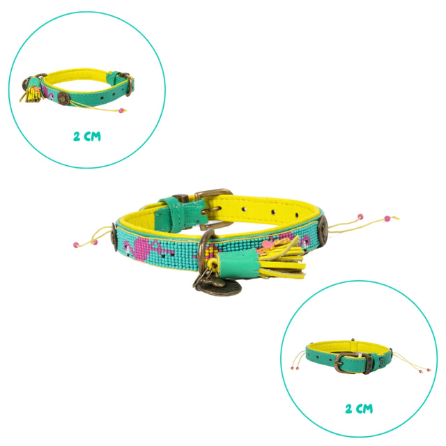 Dog with a Mission Hundehalsband, Chogogo Hundehalsband