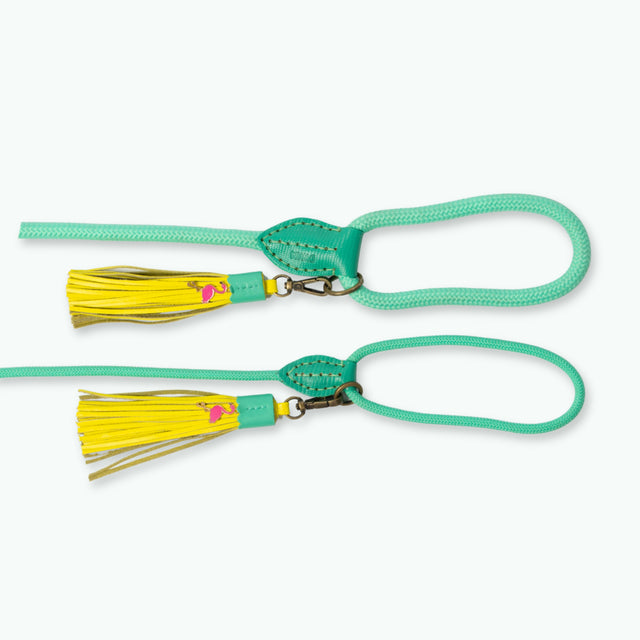 Dog with a Mission Hundeleine, Chogogo Hundeleine