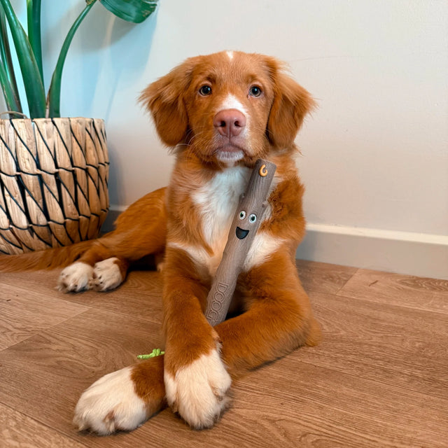 DOOG The Sticks, Baby Barkley Wurfspielzeug