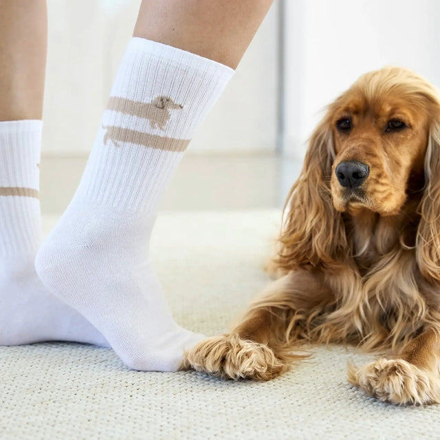 PALOPA PALOPA Tennis Socken - Long Badger, Dog Socken