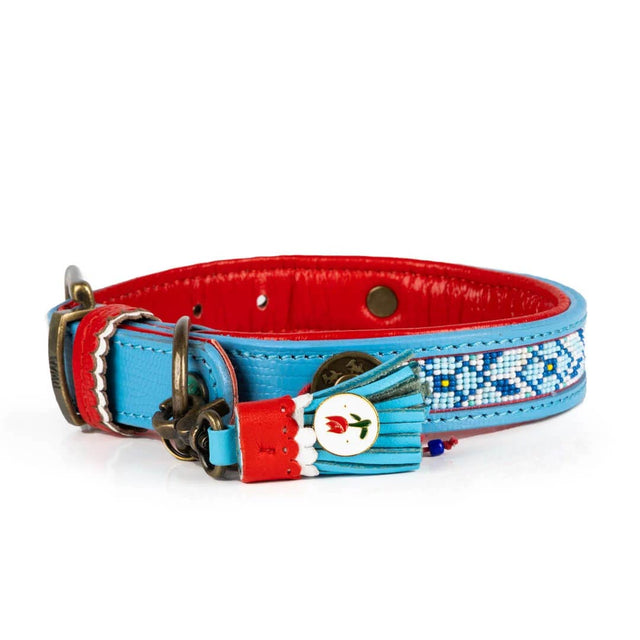 Dog with a Mission Hundehalsband | Dutchie Hundehalsband