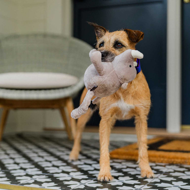 P.L.A.Y. Hundespielzeug | Rhino Stoffspielzeug
