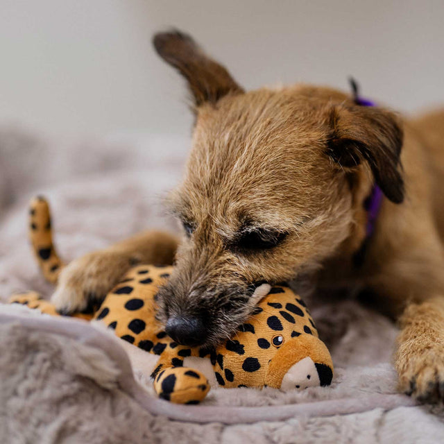 P.L.A.Y. Hundespielzeug | Leopard Stoffspielzeug