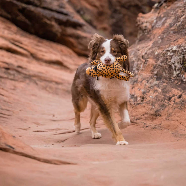 P.L.A.Y. Hundespielzeug | Leopard Stoffspielzeug