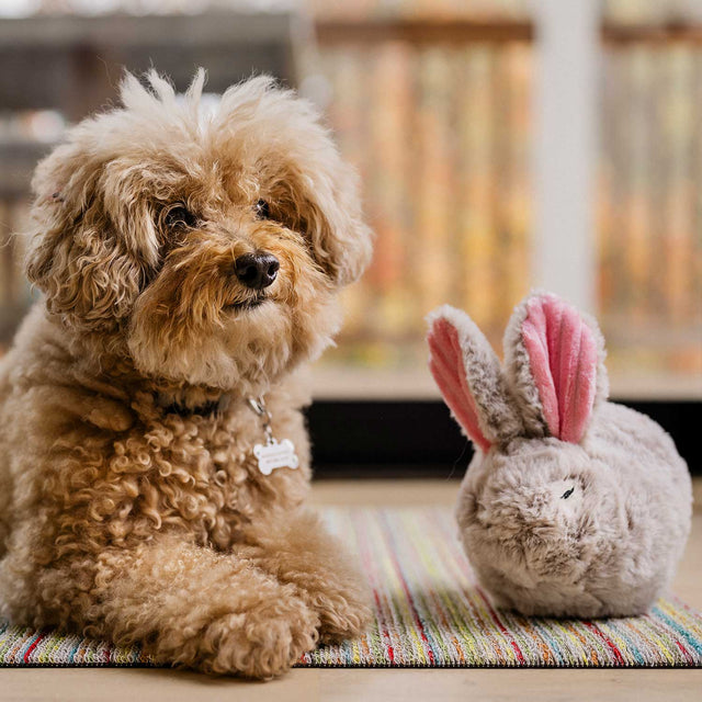P.L.A.Y. Hundespielzeug | Baxter the Bunny Stoffspielzeug