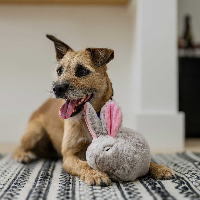 P.L.A.Y. Hundespielzeug | Baxter the Bunny Stoffspielzeug