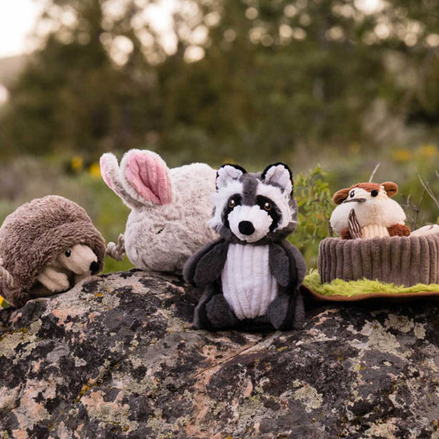 P.L.A.Y. Hundespielzeug | Robby the Raccoon Stoffspielzeug