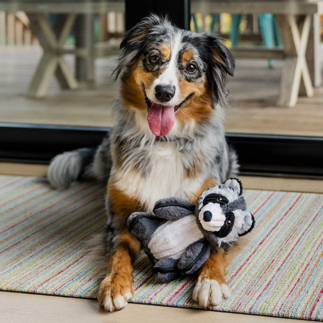 P.L.A.Y. Hundespielzeug | Robby the Raccoon Stoffspielzeug