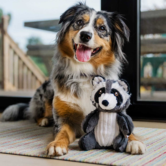 P.L.A.Y. Hundespielzeug | Robby the Raccoon Stoffspielzeug