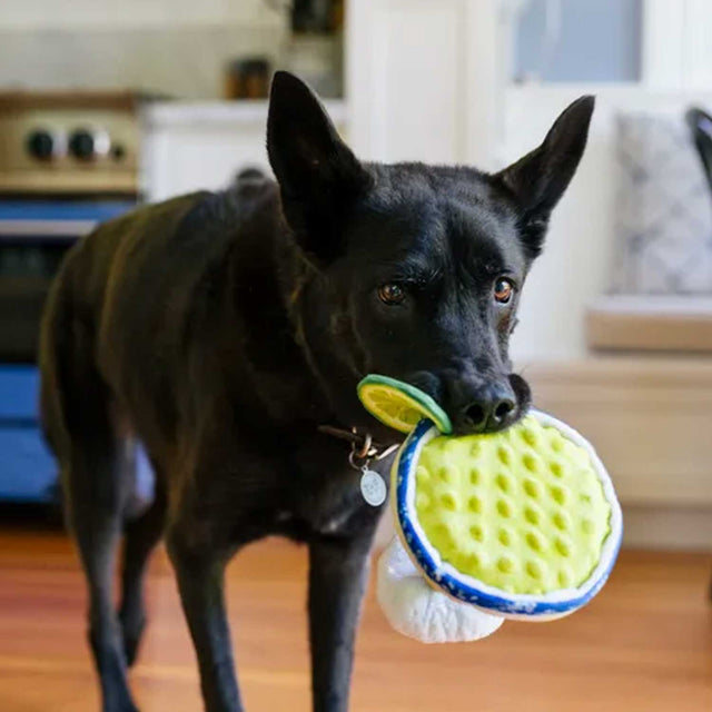 P.L.A.Y. Hundespielzeug | Pup-arita Stoffspielzeug