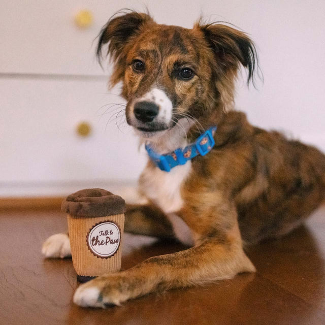 P.L.A.Y. Hundespielzeug, Doggo's Java Stoffspielzeug