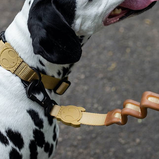 Zee.Dog Hundeleine | Ruff Leash, Dune Hundeleine