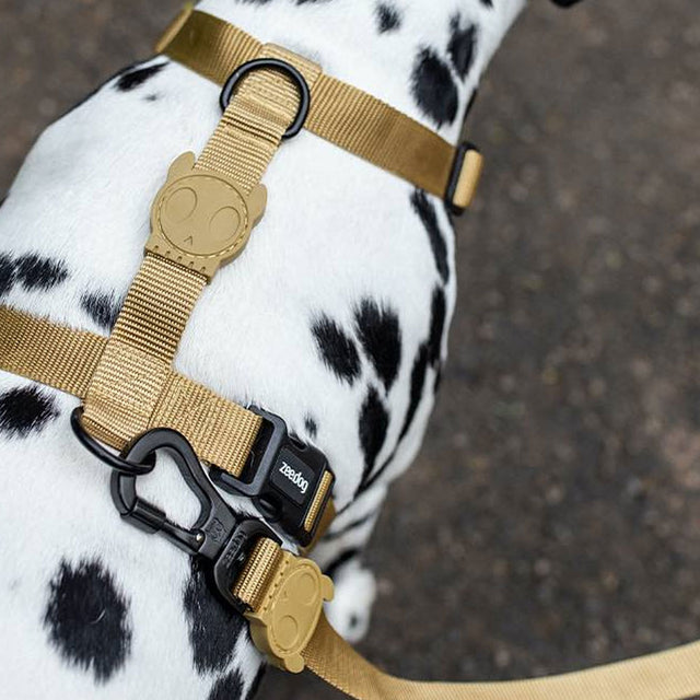 Zee.Dog Hundeleine | Ruff Leash, Dune Hundeleine