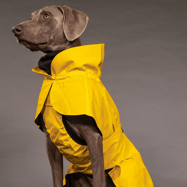 PAIKKA Hunderegenmantel, Visibility Lite Yellow Hunderegenmantel