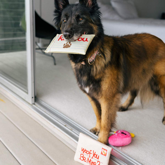 P.L.A.Y. Hundespielzeug Liebesbrief „I Ruv You" Stoffspielzeug