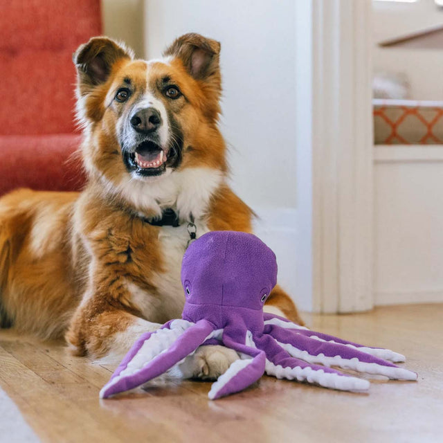 P.L.A.Y. Hundespielzeug Opal der Oktopus Stoffspielzeug
