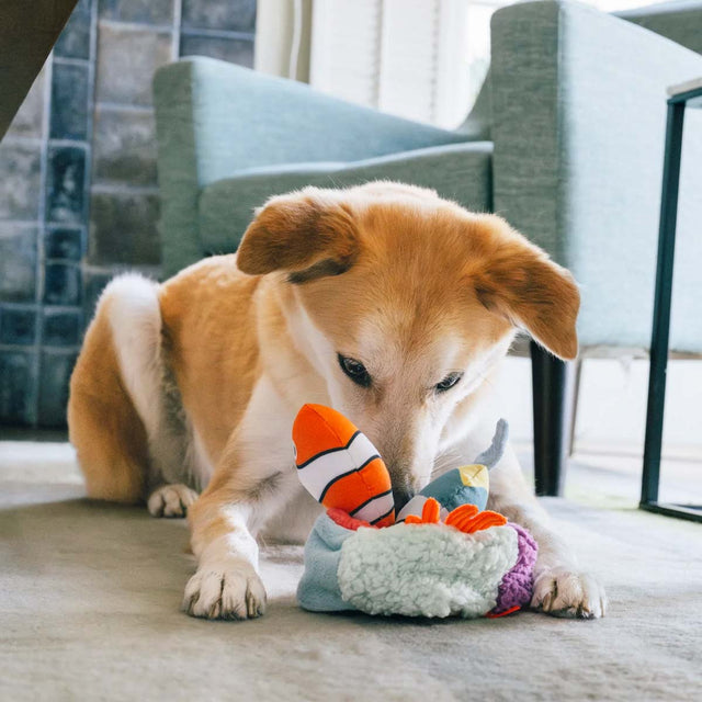 P.L.A.Y. Hundespielzeug Riff Retreat Stoffspielzeug