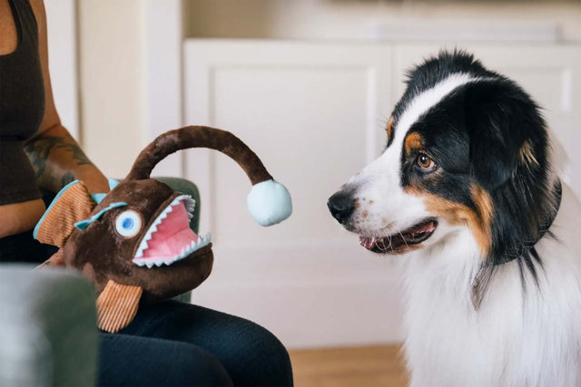 P.L.A.Y. Hundespielzeug Anglerfisch Stoffspielzeug