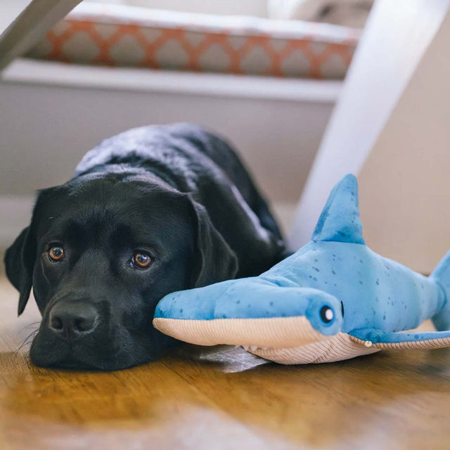 P.L.A.Y. Hundespielzeug Bonk der Hammerhai Stoffspielzeug