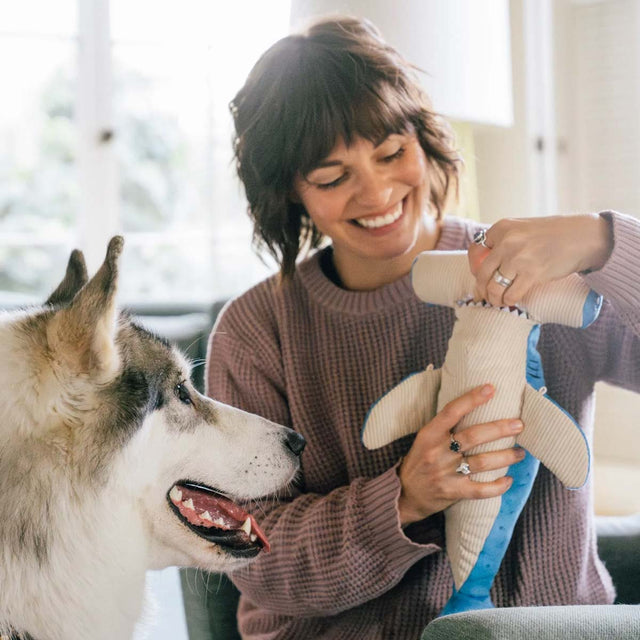 P.L.A.Y. Hundespielzeug Bonk der Hammerhai Stoffspielzeug