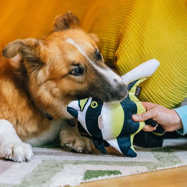 P.L.A.Y. Hundespielzeug Fahnenfisch Stoffspielzeug