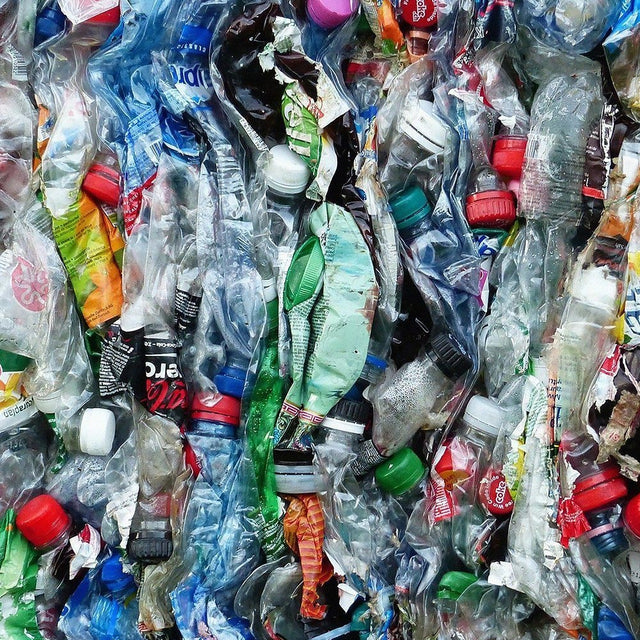 Beco Pets Hundespielzeug Rough & Tough Recycled, Seagull Stoffspielzeug