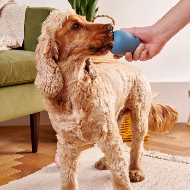 Beco Pets Hundespielzeug Boredom Buster Interaktiv