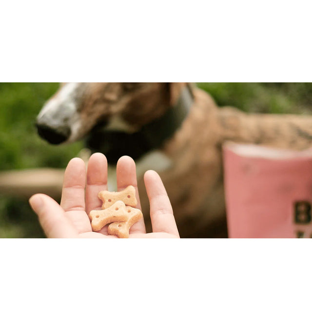 Beco Pets Hundeleckerli Cashew with Pumpkin Seed & Carrot Hundeleckerli