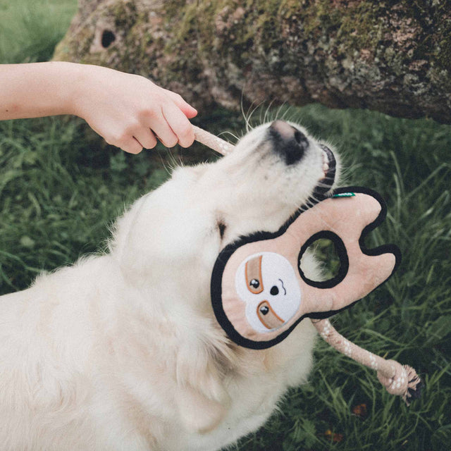 Beco Pets Hundespielzeug Rough & Tough Recycled, Sloth Stoffspielzeug