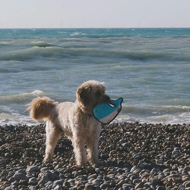 Beco Pets Hundespielzeug Rough & Tough Recycled, Whale Stoffspielzeug