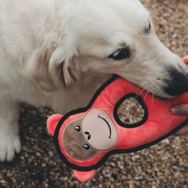 Beco Pets Hundespielzeug Rough & Tough Recycled, Orangutan Stoffspielzeug