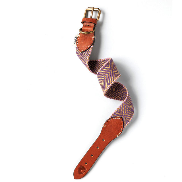 Buddys Dogwear Hundehalsband Capri Bella Hundehalsband