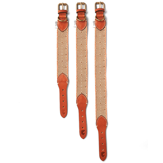 Buddys Dogwear Hundehalsband Capri Isola Hundehalsband