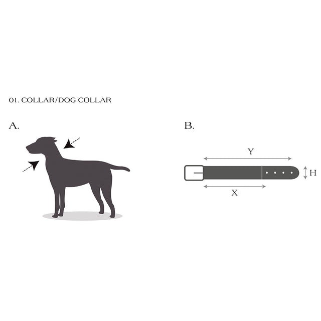 Buddys Dogwear Hundehalsband Capri Isola Hundehalsband