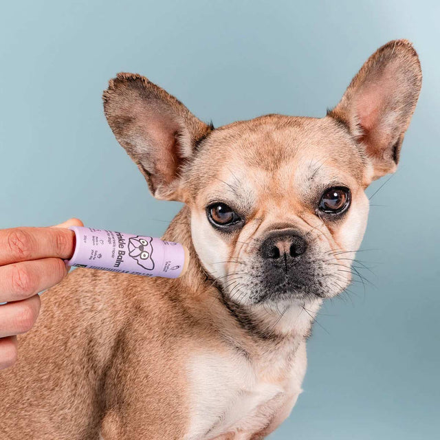 Butchcare Wrinkle Balm Stick Pflege