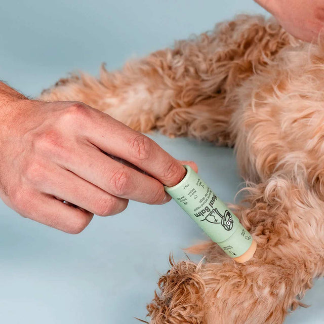 Butchcare Heal Balm Stick Pflege