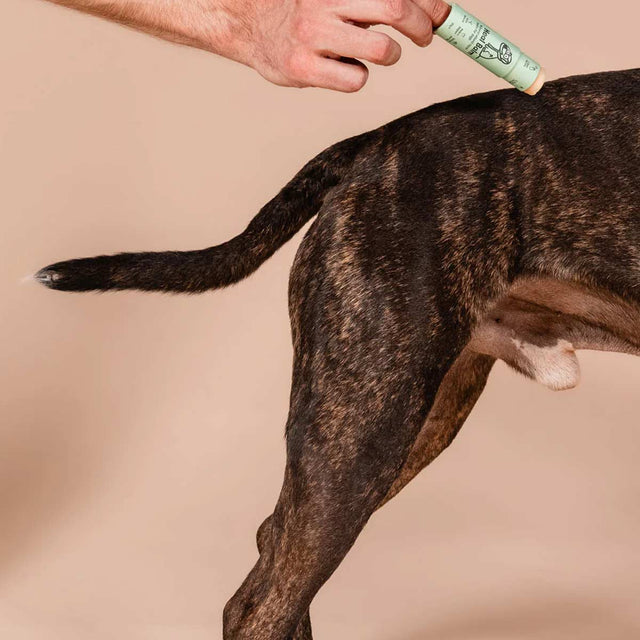 Butchcare Heal Balm Stick Pflege