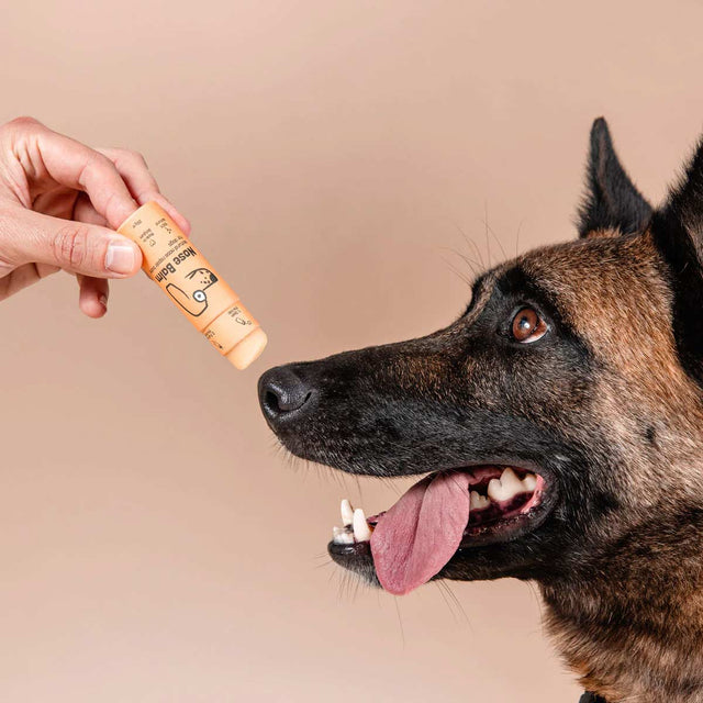 Butchcare Nose Balm Stick Pflege