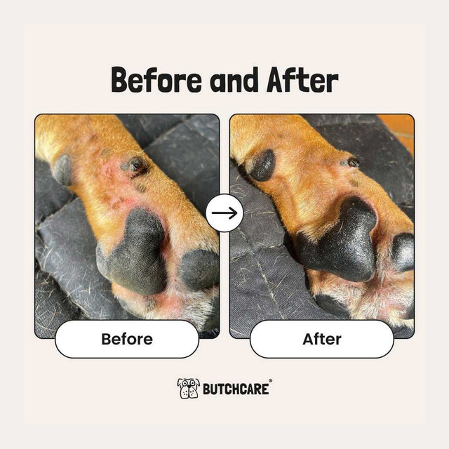 Butchcare Paw Balm Stick Pfotenschutz