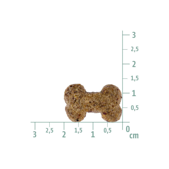 Christopherus Hundeleckerli Vegetarian Crunchy, Apfel & Linsen Hundeleckerli